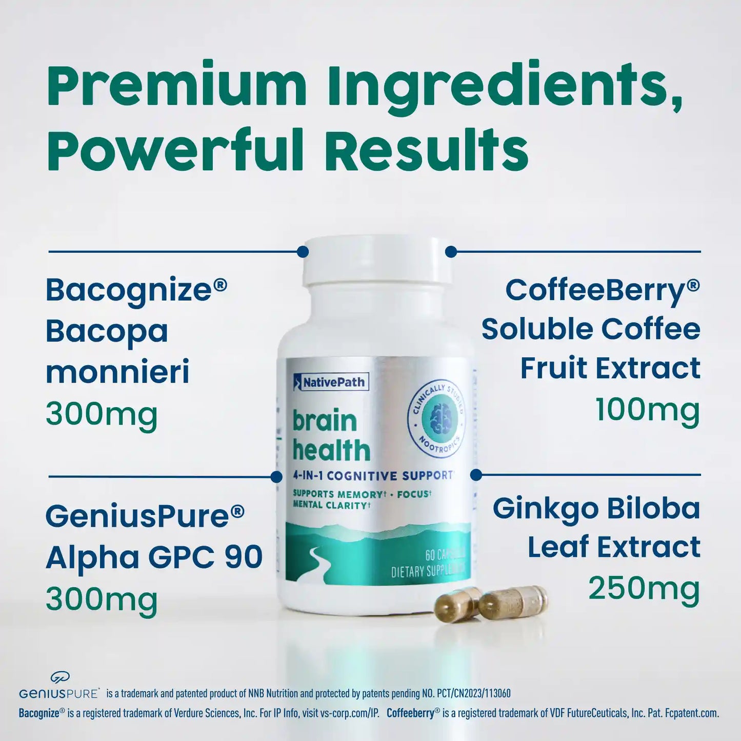 Brain Health