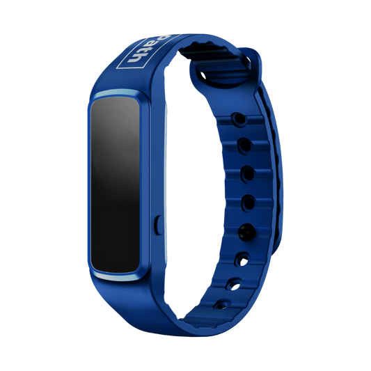 Pedometer