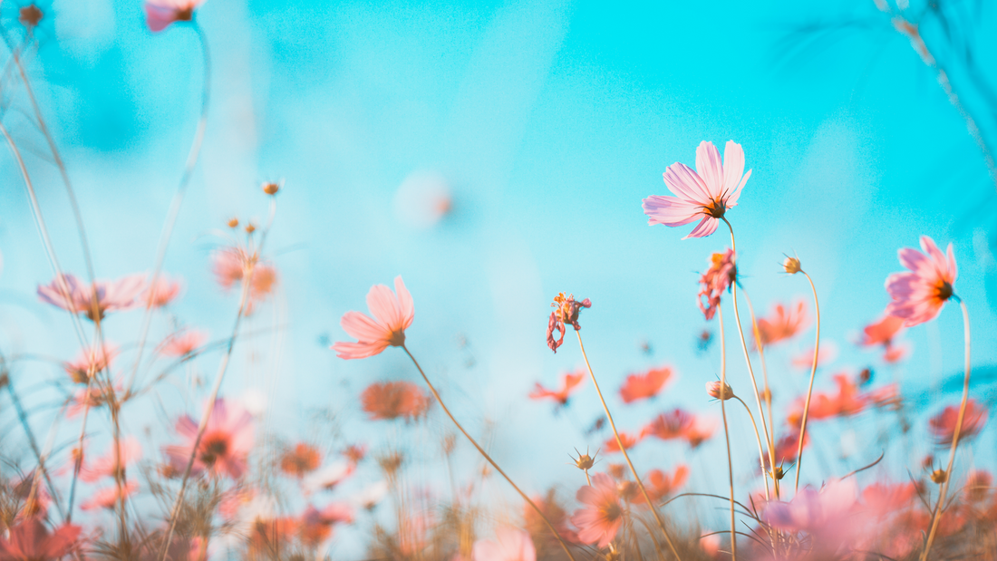 Help Your Body Spring Forward with Collagen