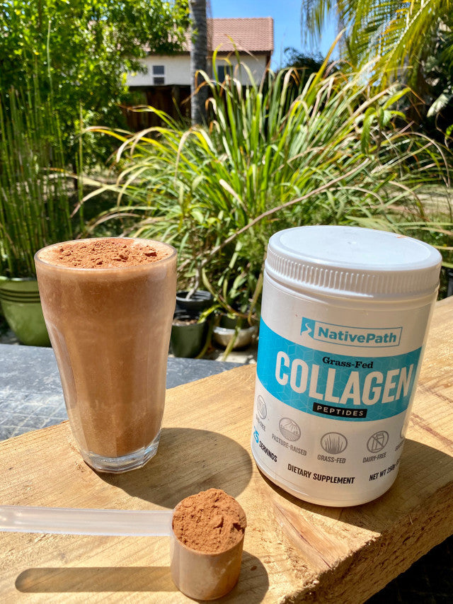 Healthy Chocolate Protein Shake – NativePath