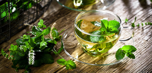 5 Herbs That Help Increase Collagen Production