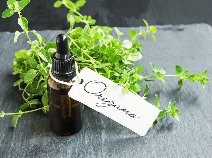 11 Benefits of Oregano Oil: Your Must-Have Antibacterial Herb