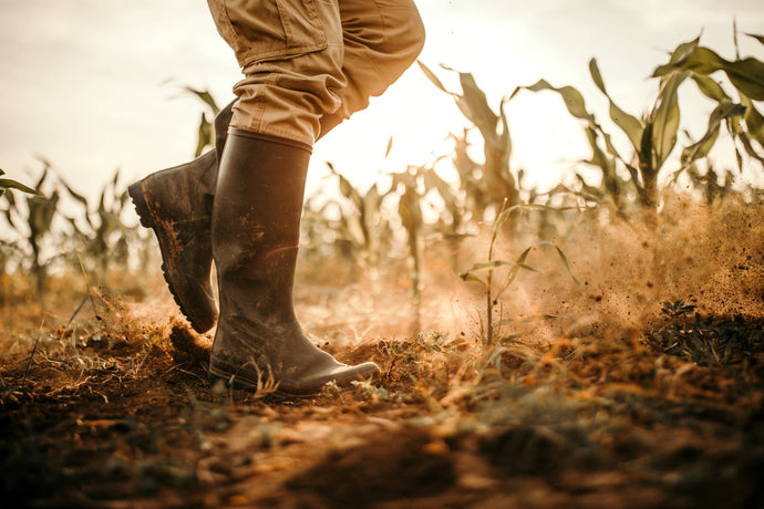 Soil Fertility Now vs. 100 Years Ago (Plus 8 Ways It's Hurting Your Health)