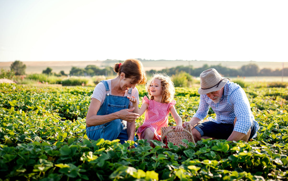 The Ancestral Diet: 5 Simple Ways to Live More Like Your Ancestors