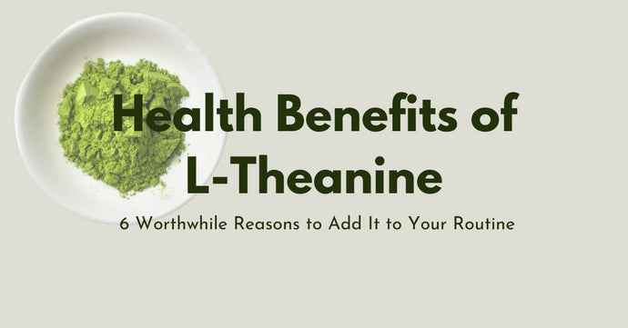 Health Benefits of L-Theanine: 6 Reasons to Add It to Your Routine