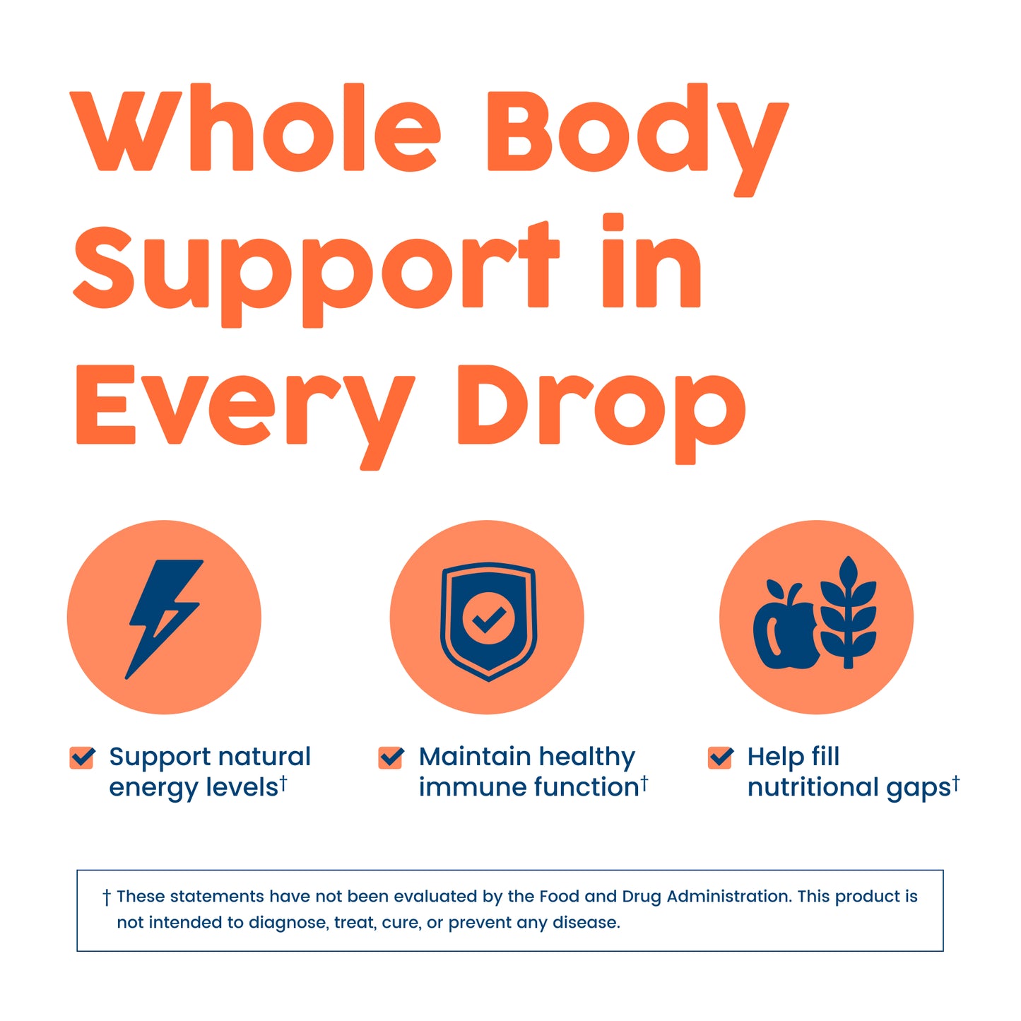 NativePath Liposomal Multivitamin whole body support in every drop benefits graphic