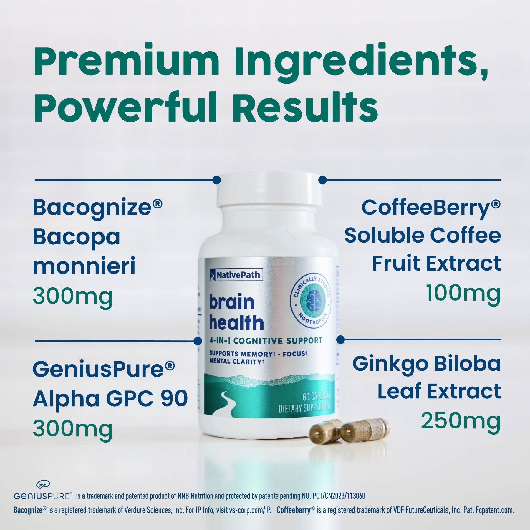 NativePath Brain Health ingredient breakdown showing Bacognize Bacopa, GeniusPure Alpha GPC, CoffeeBerry, and Ginkgo Biloba with dosages