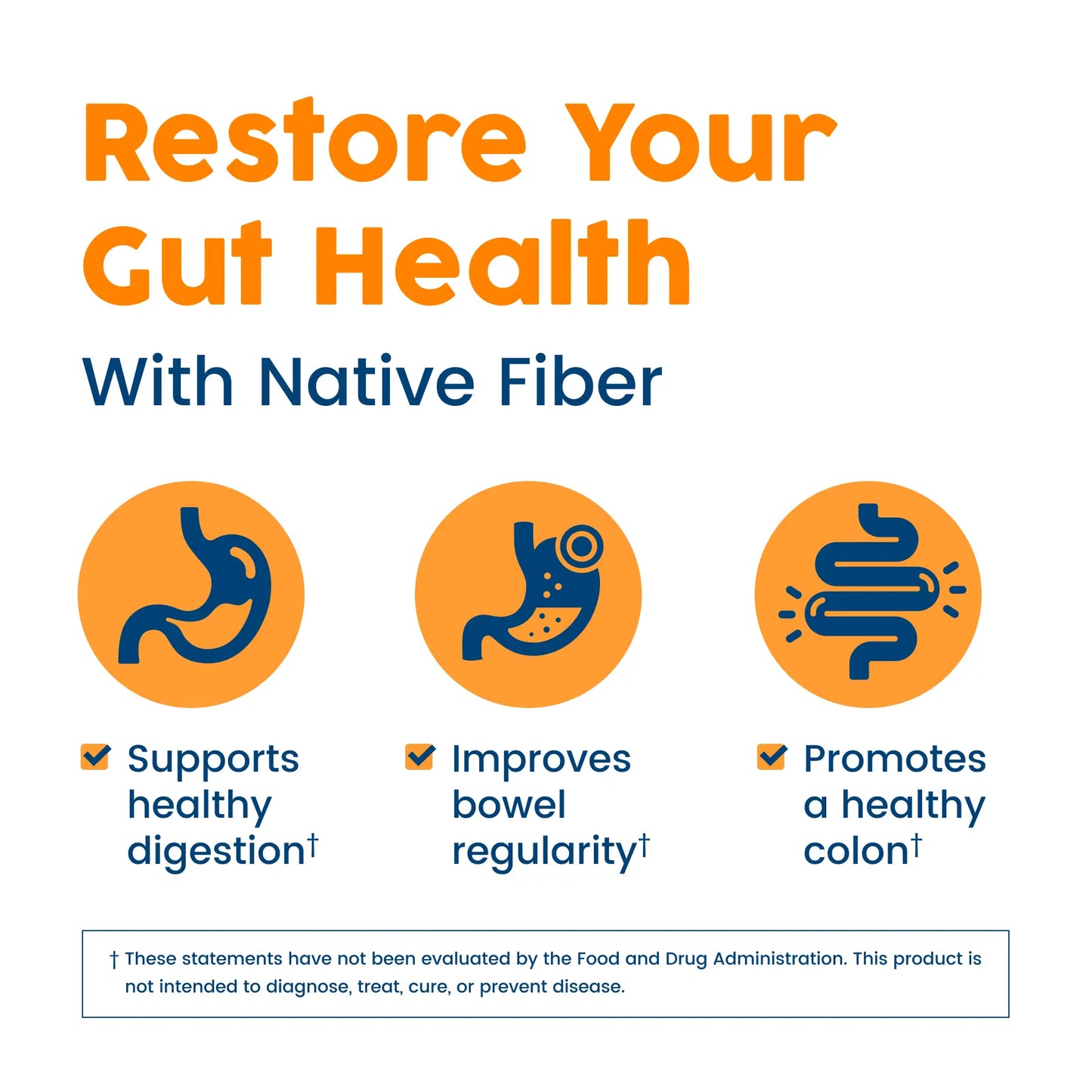 Baobab Powder | Native Fiber