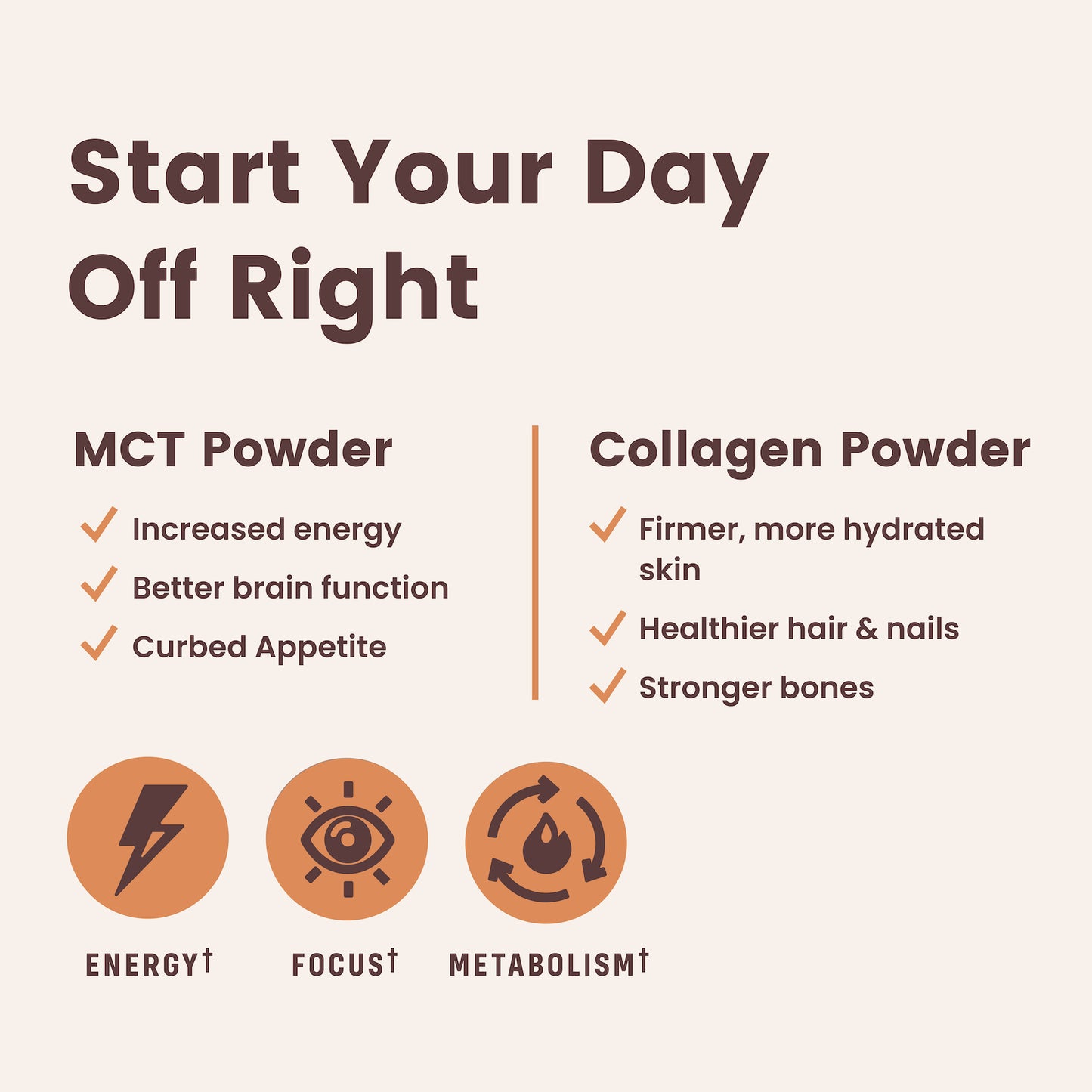 Hazelnut Coffee Creamer